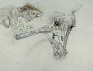 Andrómeda II. Lápiz, 50 x 65 cm. 1998